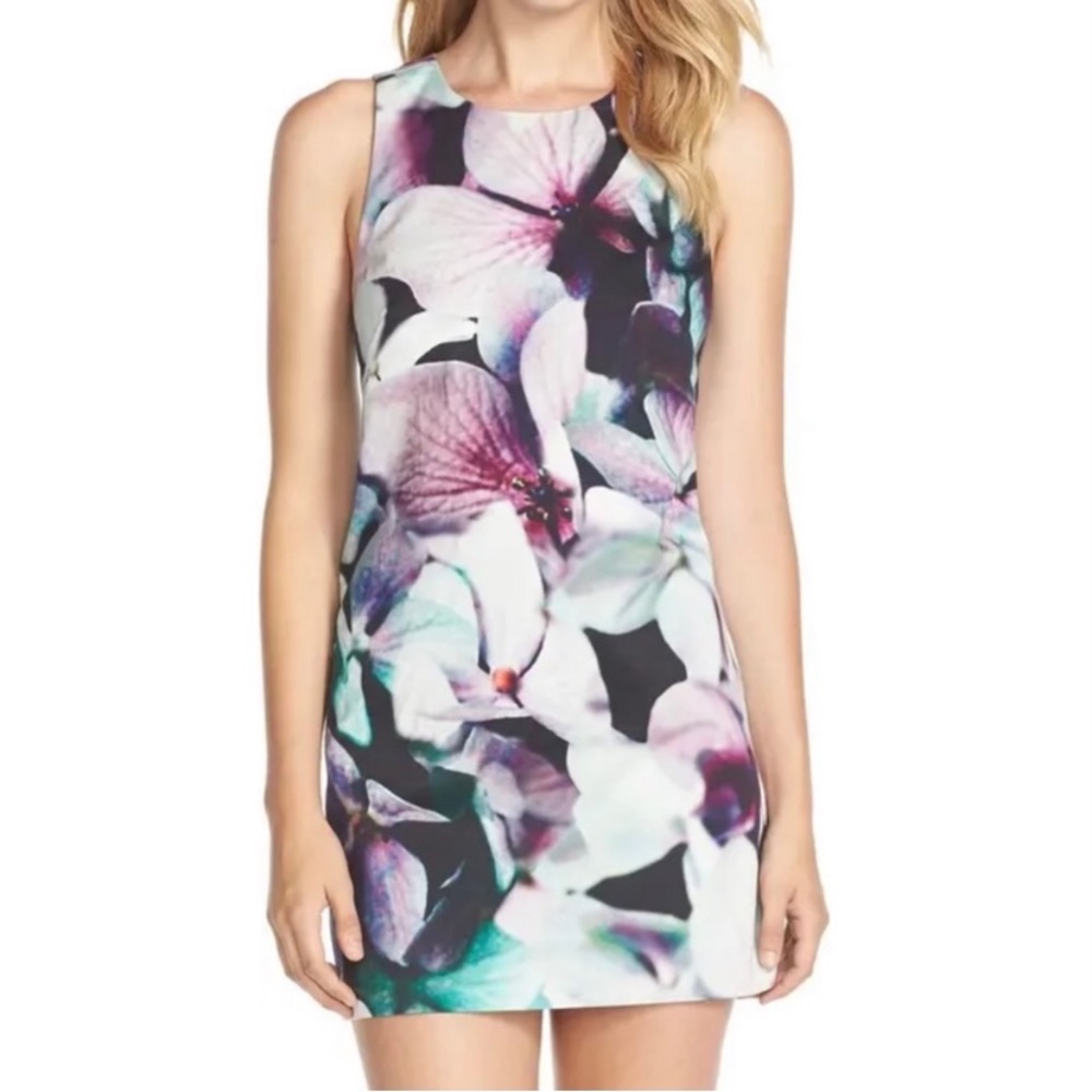 Felicity & Coco Floral Orchid Print Shift Dress Size Small NWT